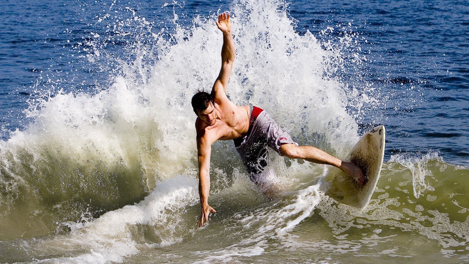 体育项目职业化路径与行业壁垒分析，体育产业化项目选择应遵循什么样的原则